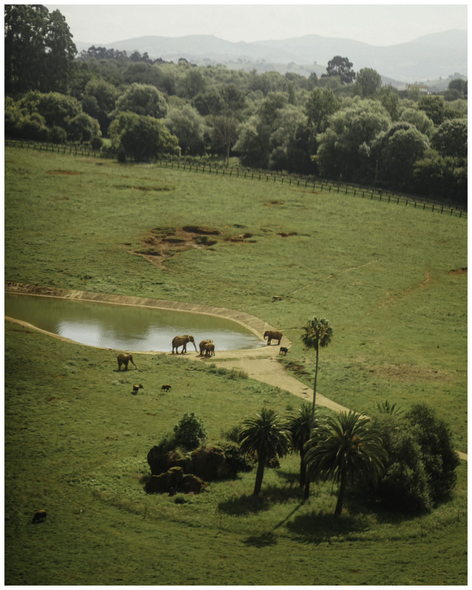 blog/1_Cabarceno/tina_mimika_photographer_landscape_photography_medium_format_sonyalpha_pentax67_spaintravel_cabarceno_cantabria-13_bbqxa4